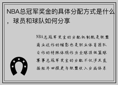 NBA总冠军奖金的具体分配方式是什么，球员和球队如何分享
